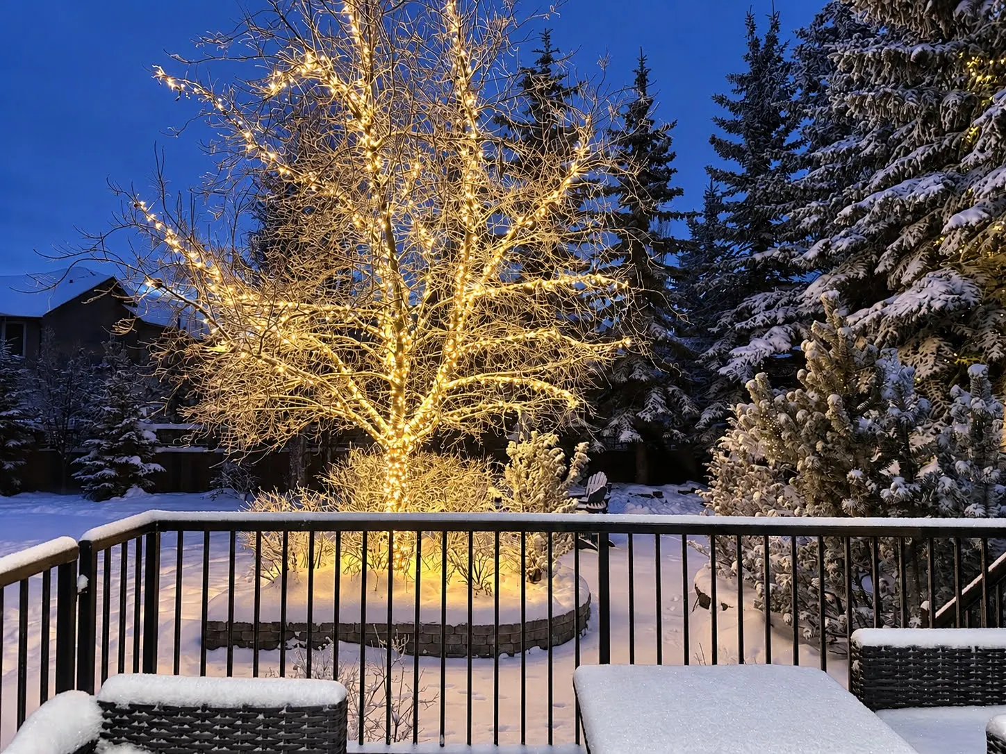 Tree behind a home, wrapped branch by branch in warm white mini lights, seen from a snowy deck at dusk