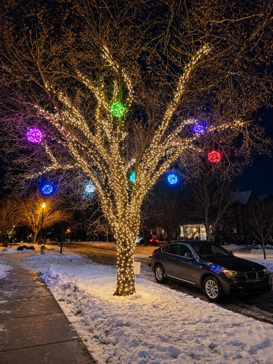 Large boulevard tree with its trunk and branches wrapped in warm white mini lights and hung with coloured light balls, on a snowy street