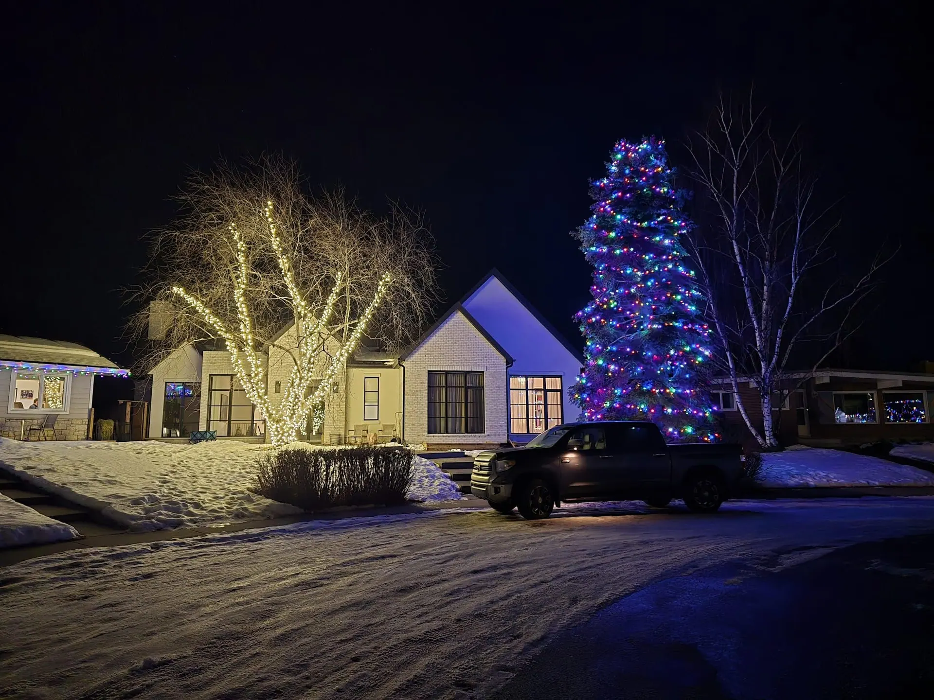 Tall spruce wrapped in multicolour mini lights beside a home, with a warm white branch-wrapped tree on the left
