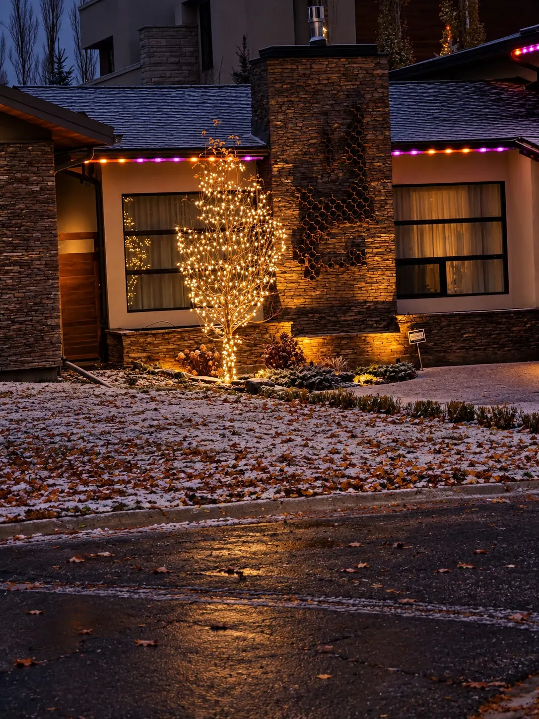 Young tree with its canopy filled with warm white mini lights in front of a modern home at dusk