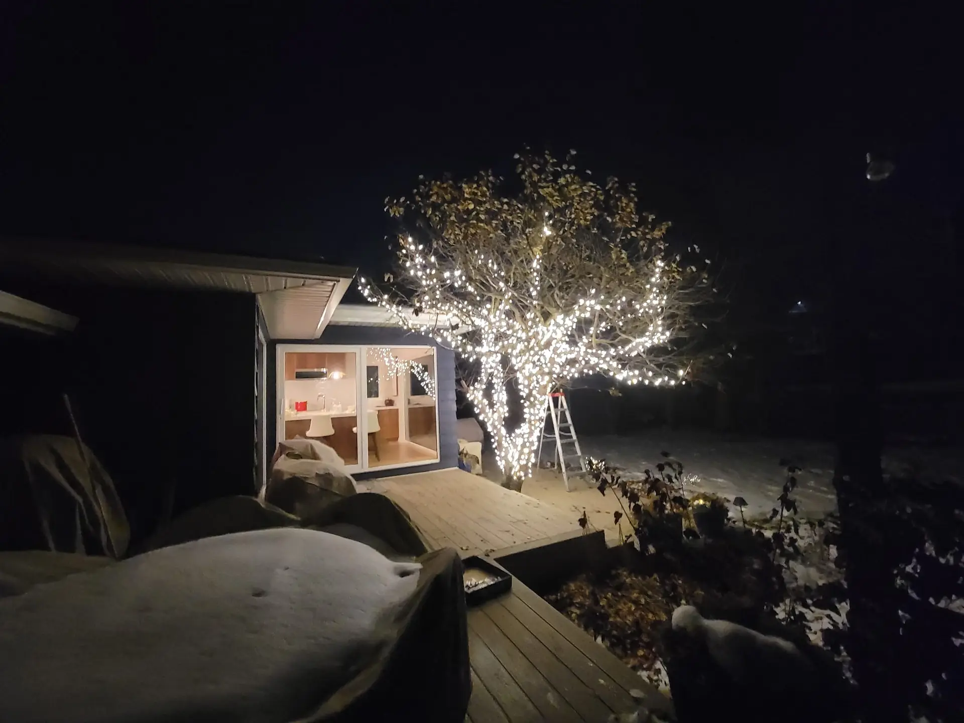 Deciduous tree with every branch wrapped in white lights beside a lit garden shed
